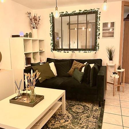Petit Cocon Au Coeur D'Annecy Apartment Екстериор снимка
