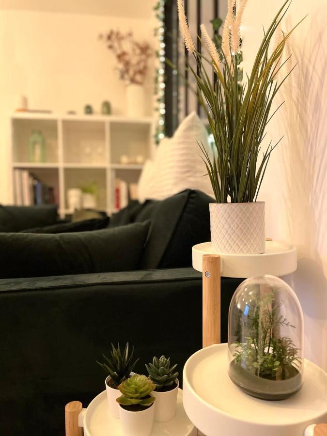 Petit Cocon Au Coeur D'Annecy Apartment Екстериор снимка