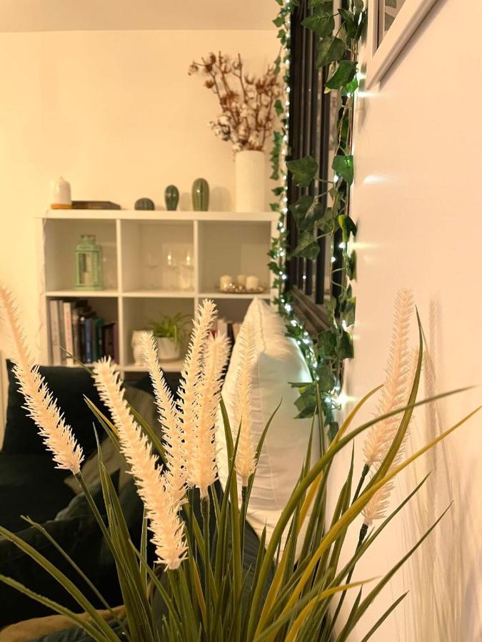 Petit Cocon Au Coeur D'Annecy Apartment Екстериор снимка