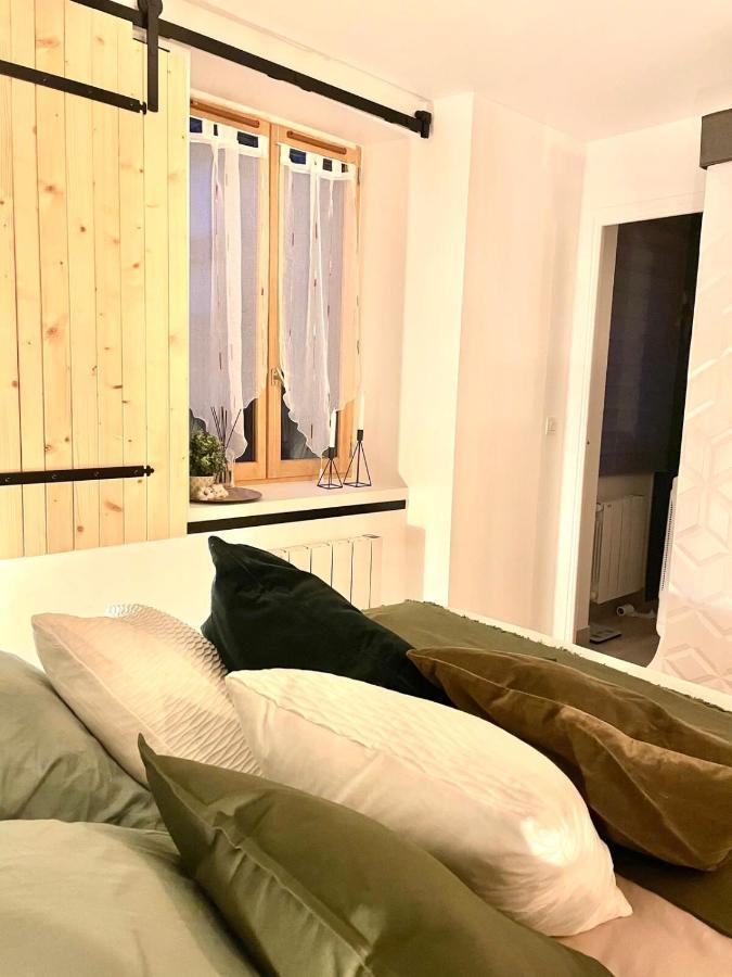 Petit Cocon Au Coeur D'Annecy Apartment Екстериор снимка