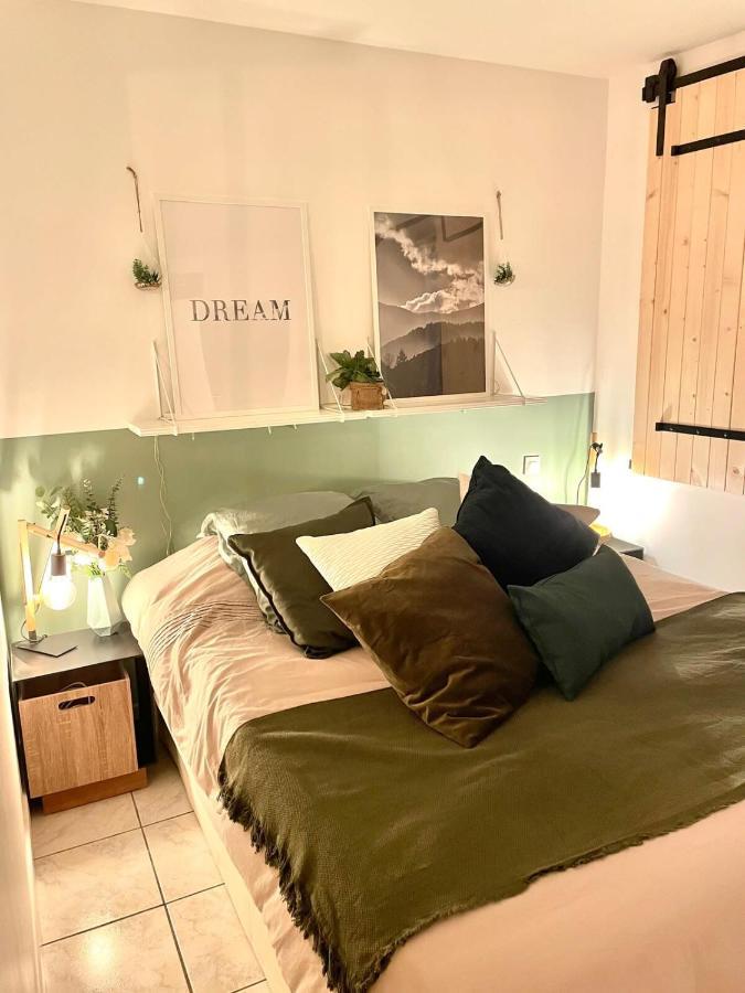 Petit Cocon Au Coeur D'Annecy Apartment Екстериор снимка